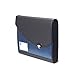 Rapesco 0679 - Carpeta Archivadora Tipo Acordeón, A4+ con 7 Compartimentos, Azul y Negro