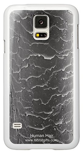 Amazon.com: Lab Rat Gifts SS5010CASE Plastic Amazing Exclusive SEM ...