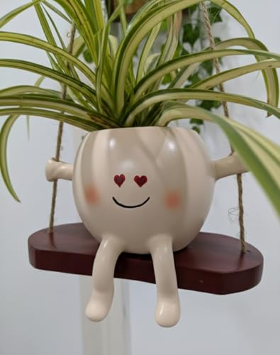Image of Hanging Planter Pot with Swing, Cute Smiling Face Design | Heart Eyes, Decorative, Indoor & Outdoor Plant Holder