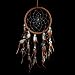 Caught Dreams Dream Catcher ~ Brown Suedette with Turquoise Stones 8.5" Diameter & 21" Long!