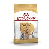 Royal Canin Yorkshire Terrier Yorkie Trockenfutter für Erwachsene, 1,5 kg
