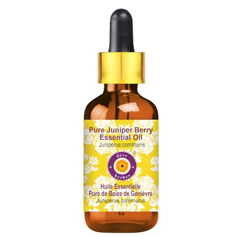 Huile essentielle de Baie de genièvre distillée à la vapeur pour purifier le corps