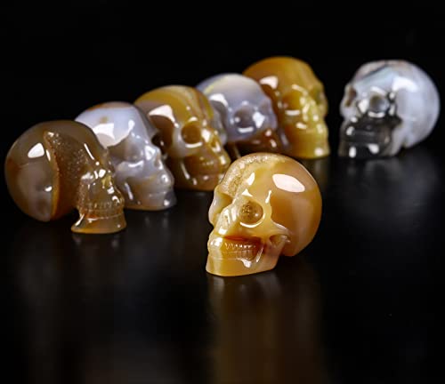 Calavera de Cristal Ágata Geoda 2.0 pulg miniatura 3