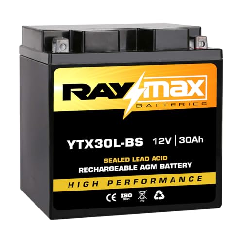 Raymax YTX30L-BS 12V 30Ah AGM Battery – High Performance Sealed