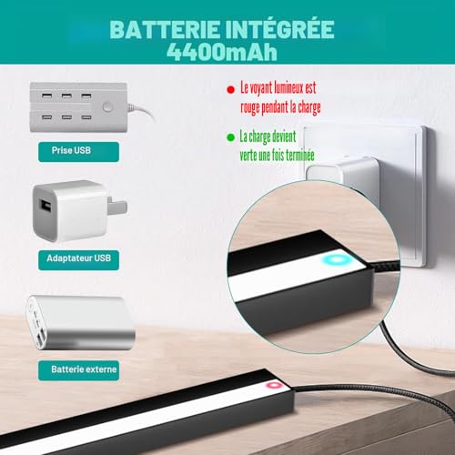 Lampe pour tableau rechargeable noire 30cm 1.8W avec télécommande - 2
