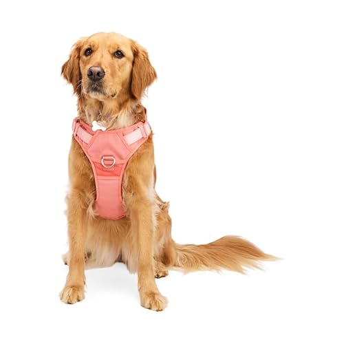 EveryYay by Petco Full Dog Harness Pink Large