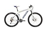 corratec x vert 29 Farbe: weiss/grün/blau Modell 2016