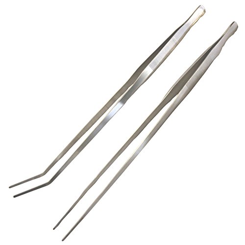 ANAE OsZbg 48cm2{Zbg ADA