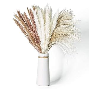 Janice Ky 60Pcs 65cm Natural Dried Pampas Grass with 3 Kinds of Color Fluffy and Swinging DIY Boho Plant for Wedding…