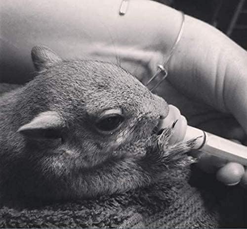 Miniatura 3 de Paquete de 10 pezones de lactancia para mascotas, kit original de repuesto para alimentación de pezón para gatitos recién nacidos, cachorros,