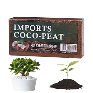 Aibyks Coco Coir Brick 1 Aktywator Gleby
