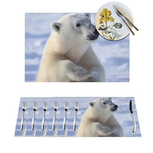 Set de table PVC lavable lot de 4 antidérapant cuisine et extérieur - 2