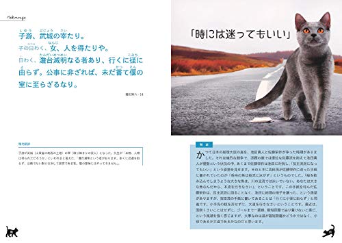 日本で一番ゆる〜い論語の解説書？かわいい猫の写真と一緒に楽しく 