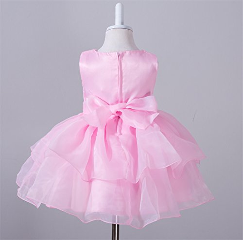 Girl Dress Kids Ruffles Lace Party Wedding Dresses Embroidered One Year Old Size 12-18M Baby Girls Cake Layer Ball Gown Blush Pink Birthday Graduation Tulle Special Occasion Tops Infant (Pink L) #TOP3