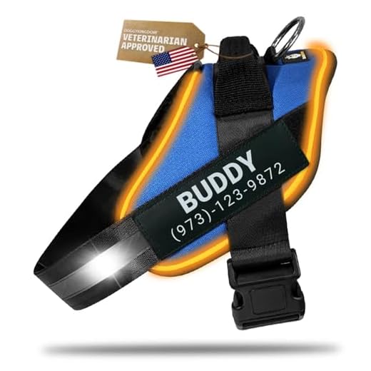 DOGGYKINGDOM Personalized No Pull 360° LED Dog Harness with Custom Name Patches, USB Rechargeable, Adjustable, Reflective for Night Walks, Rainproof Module with 3 Modes Lasts up to 24h, Blue, XL