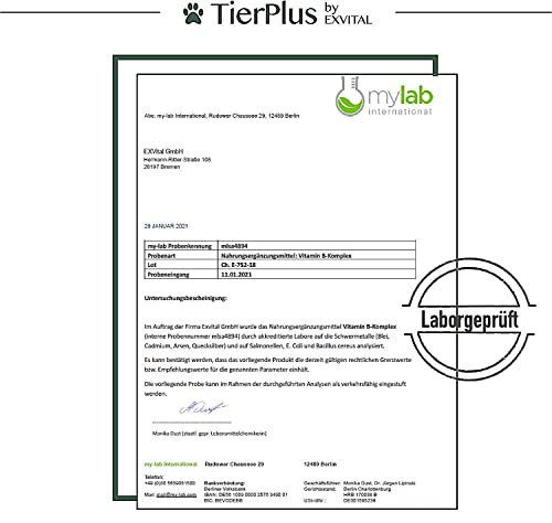 Tierplus Vitamin B Komplex für Hunde & Katzen- B1, B2, B3, B5, B6, B9, B12, K3, 120 Tabletten, hochdosiert- Made in Germany