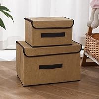Amazon.co.jp: [CIANAP] ボックス パープル 38*25*25cm*2 収納 フタ