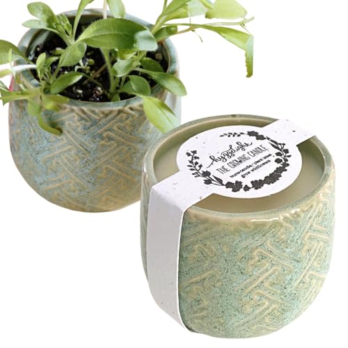 The Growing Candle, from Flame to Flower, Chai Scented, Non-Toxic, 100% Soy Wax, Indoor Wildflower Garden, Aromatherapy Gift for Women, 10oz, 55 Hr Burn Time, Ida