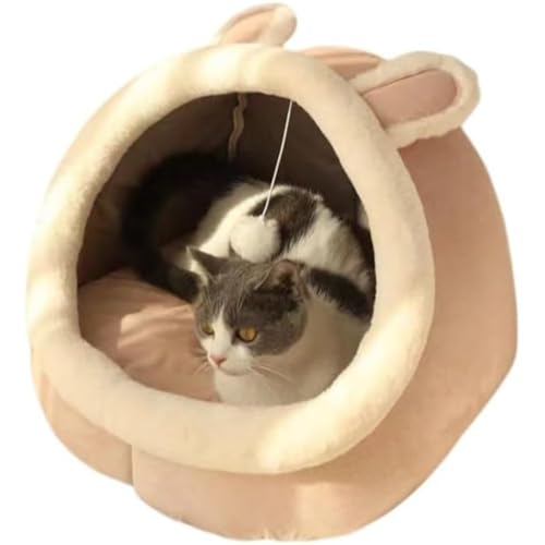 Neboka L 킢 nEX h[^ ybgLQ^ LbgnEX ʋCybg nEX ɒʗp lG킸g܂ (L,D)