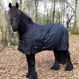Tempest Winterdeken Turnout Typhoon Combo 200g Zwart