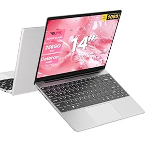 2025 Newest Ordinateur Portable 14 Pouces PC Portable Win11 256 Go Soutien Extension SSD 1TB(TF-512Go) Celeron N4020 Laptop avec 5G WiFi Mini HDMI BT4.2 inclut AZERTY Membrane-Argent-001