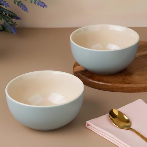 Image of The Earth Store Grey Mellow Ceramic Bowl Set of 2, 450 ML Each | Dishwasher & Microwave Safe Serving Bowls for Snacks, Soup, Dal, Curry, Pasta, Vegetables and More | Perfect for Gifting, Daily Use