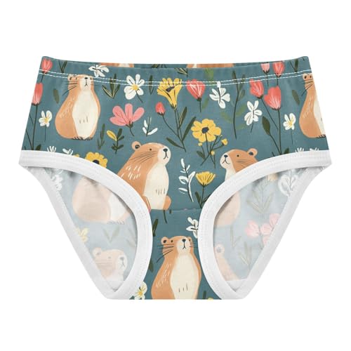 Wusikd Capybaras Girls' Underwear Cotton Flowers Girls Briefs Soft Toddler Underwear 2T