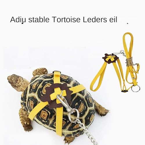 Schildkröten-Skateboard, Verstellbare Schildkrötenleine und lustiges Skateboard-Set, Trainingsgeschirr und Mini-Skateboard für Schildkröten, Schildkrötenhabitat-Zubehör