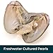 10PC Oyster with Round Pearl Inside Meaningful Color Freshwater Cultured Oyster Love Wish Pearls Beads for Jewelry Making Crafts Gifts(6-8mm, 9 Oysters with 1 Pearl, 1 Oyster with 2)