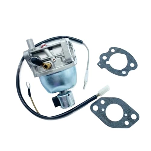 Carburateur de générateur 073112B pour moteur stationnaire de secours