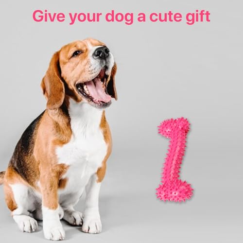 Image of Dog Chew Toy for Puppy, Cute Blue Small Dog Toy, Durable Chew Toy for Dogs and Pets - Durable & Non Toxic Spiky Rubber Bone for Dogs and Pets |Chew and Interactive Dog Toy (Pink)