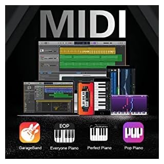 Coolmusic 88 Touches Piano Clavier Pliable Bluetooth Piano Numérique avec Touches Lumineuses Clavier Semi-Poids Piano, Rechargeable, Portable - Les Beatles, Paul McCartney, John Lennon, RIngo Starr, George Harrison Coolmusic 88 Touches Piano Clavier Pliable Bluetooth Piano Numérique avec Touches Lumineuses Clavier Semi-Poids Piano, Rechargeable, Portable – Image 3