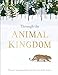 Through the Animal Kingdom: Discover Amazing Animals and Their Remarkable Homes (Journey Through)