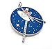 Pinsanity Voyager Space Probe Enamel Lapel Pin