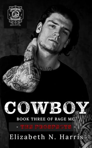 Cowboy view 2
