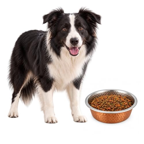 SPOT Bol chien nid d'abeille acier inoxydable grand