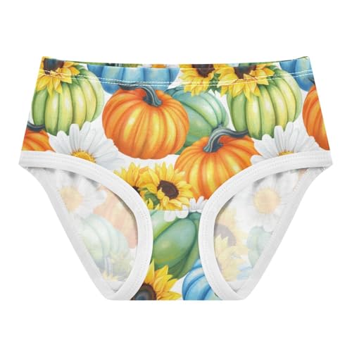 Joisal Girls Underwear Toddlers 2t Cotton Girl Panties Cute Fun Kids Briefs Undies Painted Style Pumpkins Orange