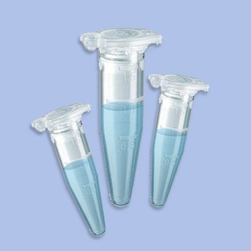 Sure Amp, Extended Release Ampicillin 10x1mL, P05-SR05-10