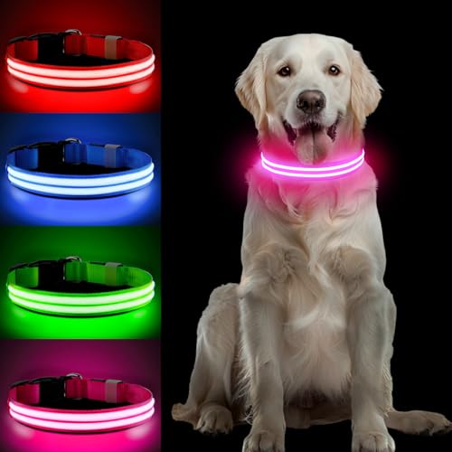 PcEoTllar Collare Luminoso per Cane Ricaricabile - Collare LED Cane 3 Modalità Impermeabile Regolabile Luminoso Collare di Sicurezza per Cani di Taglia Piccola Medio Grande, Rosa(DC5000)-M