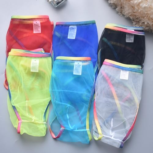 Mens See Through Bikini Briefs Transparent Mesh Underpants Triangle Briefs Underwear3
