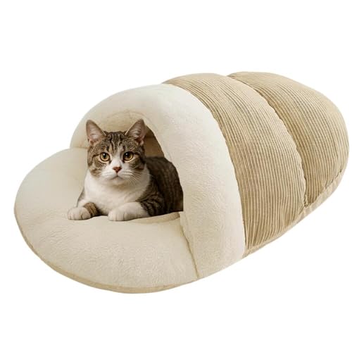 Lifetips AJC[wA American Wirehair ybgxbh Lp ~p Q܌^ ӂӂ NbV ۉ h 􂦂 ^ ^   k \t@ nEX ObY o Ή Q