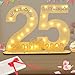 Seutgjie Deko 25 Geburtstag Frau Mann, 2001-2026 Geldgeschenke Geburtstag 25 Silberhochzeit Originelle Holz Schild Gästebuch mit LED Lichterkette Hochzeitstag Jubiläum Tischdeko