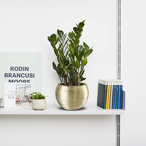 Oairse 4.5" 5.5" Gold Planters For Indoor Plants Set Of 2 Gold Plant Pots Small Flowerpot Ceramic Houseplant Planters Succulents Pots For Orchids Snake Plants #TOP3