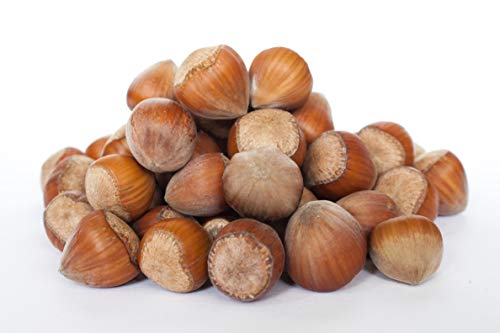 Fresh Raw Hazelnuts in Shell. 2kg from Poland. Premium