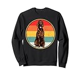 Photo Gallery vintage retro sunset irish setter cane felpa Photo Gallery vintage retro sunset irish setter cane felpa