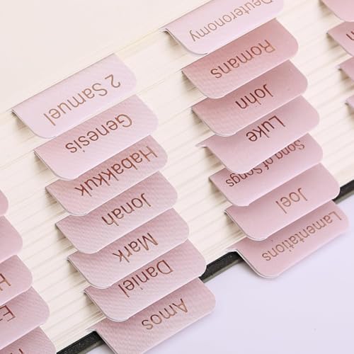 90 pestañas de índice de la Biblia rosa para mujeres, suministros de diario, pestañas de la Biblia para estudio de las Escrituras, pestaña de índice de Biblias para estudiar el Antiguo y Nuevo