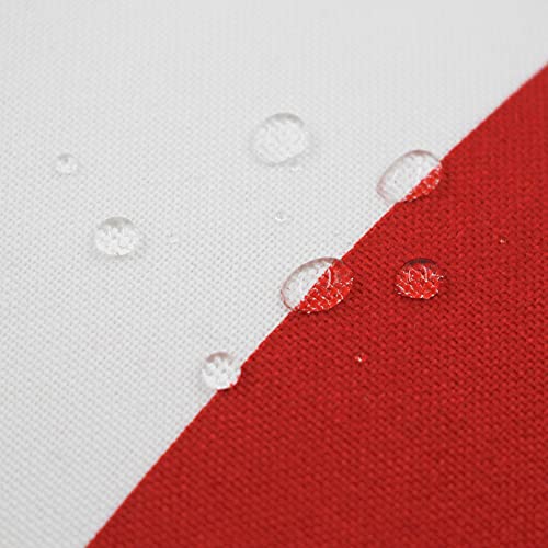 Pcinfuns Outdoor Seat Cushions,19"X19"X5" Thick Fill Tufted Cushions With Round Corner Patio Chair Pads,Water-Resistant Chair Cushion,Red White,Set Of 2 #TOP5