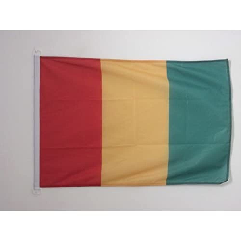 AZ FLAG Guinea Boat Flag 12x18 in Mesh Polyester Plastic Rings