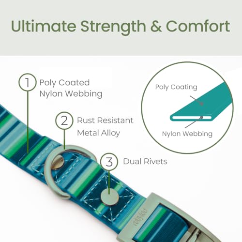 Image of Waterproof Dog Collar (Teal-L 1 inch) and Shammy (1-Pack) Set for Medium Large Dogs Easy Clean Odor Free Drying Gear