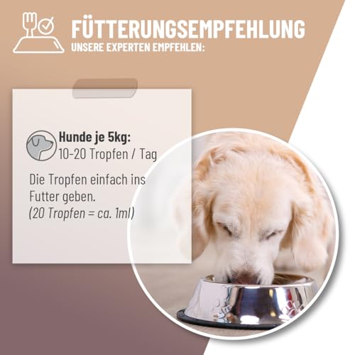 ReaVET Magen & Darm Tropfen für Hunde 100ml I Darmsanierung Hund – Unterstützt die natürliche Verdauung & Darmflora, Darmregulierung - sekundierend bei Durchfall oder Blähungen